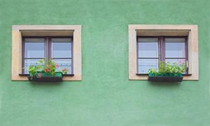 Two windows with flower boxes on an earthy olive green wall facade.